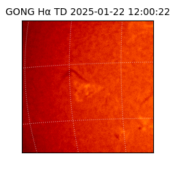 gong - 2025-01-22T12:00:22