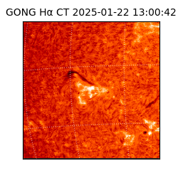 gong - 2025-01-22T13:00:42