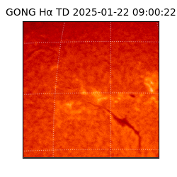 gong - 2025-01-22T09:00:22
