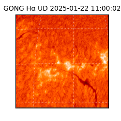 gong - 2025-01-22T11:00:02