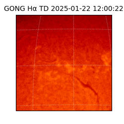 gong - 2025-01-22T12:00:22