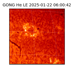 gong - 2025-01-22T06:00:42
