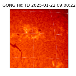 gong - 2025-01-22T09:00:22