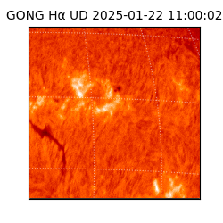 gong - 2025-01-22T11:00:02