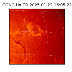 gong - 2025-01-22T16:05:22