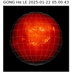 gong - 2025-01-22T05:00:43