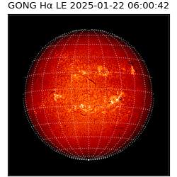 gong - 2025-01-22T06:00:42