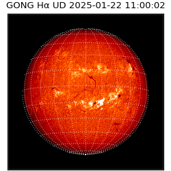 gong - 2025-01-22T11:00:02