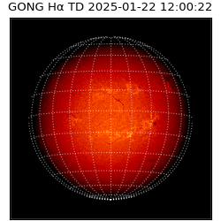 gong - 2025-01-22T12:00:22