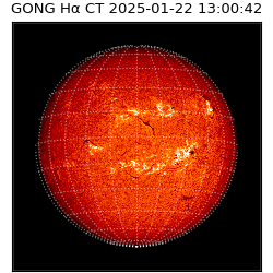 gong - 2025-01-22T13:00:42