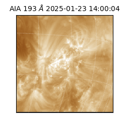 saia - 2025-01-23T14:00:04.843000