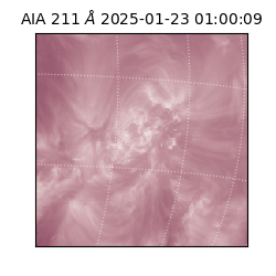 saia - 2025-01-23T01:00:09.632000