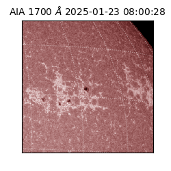 saia - 2025-01-23T08:00:28.722000