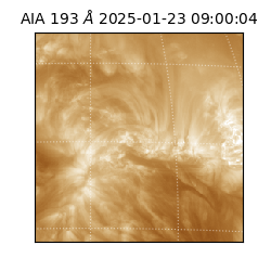 saia - 2025-01-23T09:00:04.845000