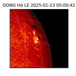 gong - 2025-01-23T05:00:42