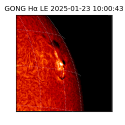gong - 2025-01-23T10:00:43