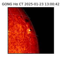 gong - 2025-01-23T13:00:42
