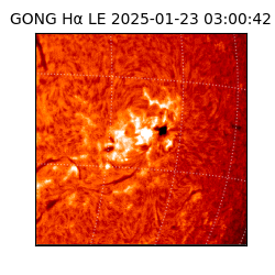 gong - 2025-01-23T03:00:42