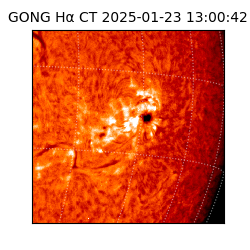 gong - 2025-01-23T13:00:42