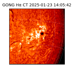 gong - 2025-01-23T14:05:42
