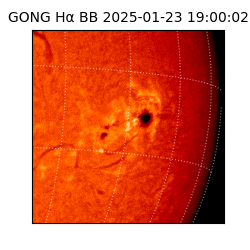 gong - 2025-01-23T19:00:02
