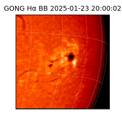 gong - 2025-01-23T20:00:02