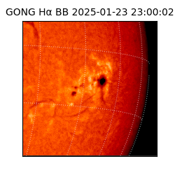gong - 2025-01-23T23:00:02