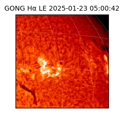 gong - 2025-01-23T05:00:42