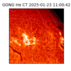 gong - 2025-01-23T11:00:42