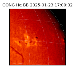 gong - 2025-01-23T17:00:02