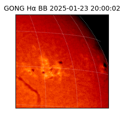 gong - 2025-01-23T20:00:02