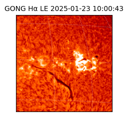 gong - 2025-01-23T10:00:43