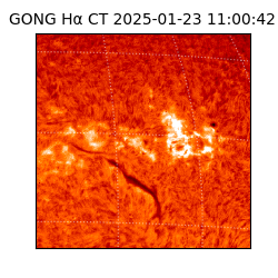 gong - 2025-01-23T11:00:42