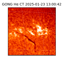 gong - 2025-01-23T13:00:42