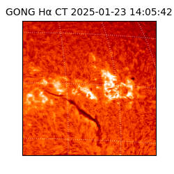 gong - 2025-01-23T14:05:42