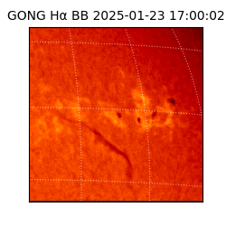gong - 2025-01-23T17:00:02