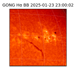 gong - 2025-01-23T23:00:02