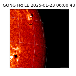 gong - 2025-01-23T06:00:43