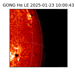 gong - 2025-01-23T10:00:43