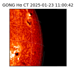 gong - 2025-01-23T11:00:42