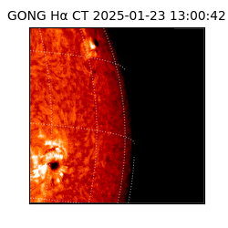 gong - 2025-01-23T13:00:42