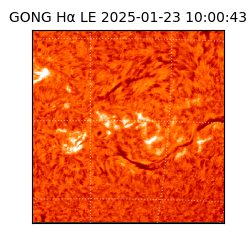 gong - 2025-01-23T10:00:43