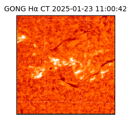 gong - 2025-01-23T11:00:42