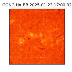 gong - 2025-01-23T17:00:02