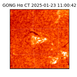 gong - 2025-01-23T11:00:42