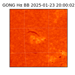 gong - 2025-01-23T20:00:02