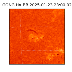 gong - 2025-01-23T23:00:02
