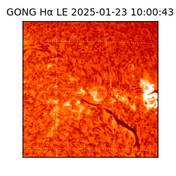 gong - 2025-01-23T10:00:43