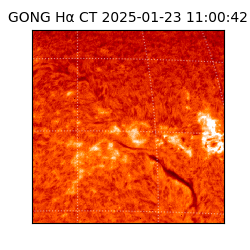 gong - 2025-01-23T11:00:42
