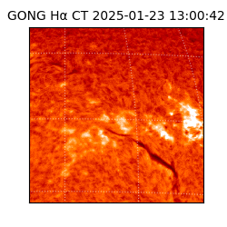 gong - 2025-01-23T13:00:42